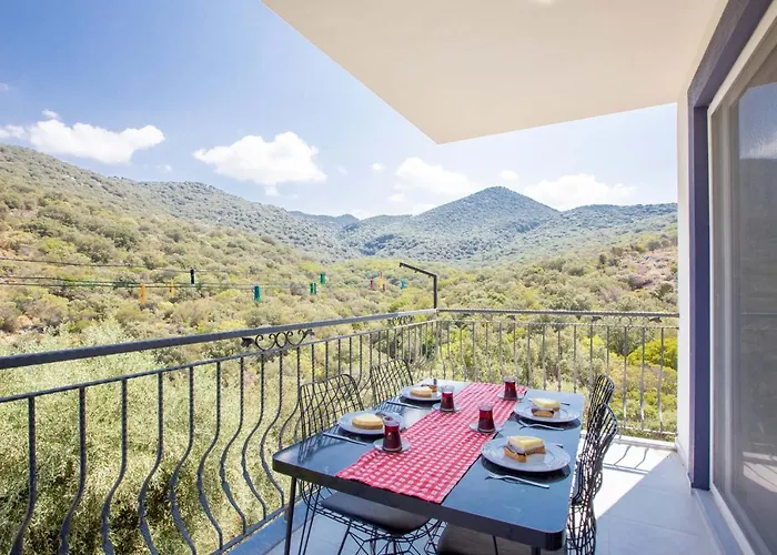 شقة Balart كاس