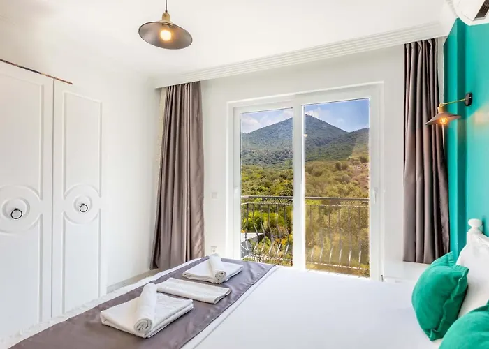 شقة Balart كاس